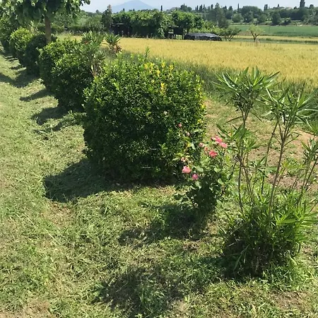 Appartamento Corte Colombaron Ronchi (Veneto)