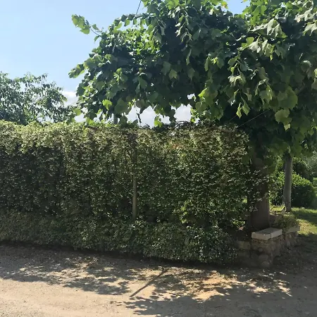 Corte Colombaron Daire