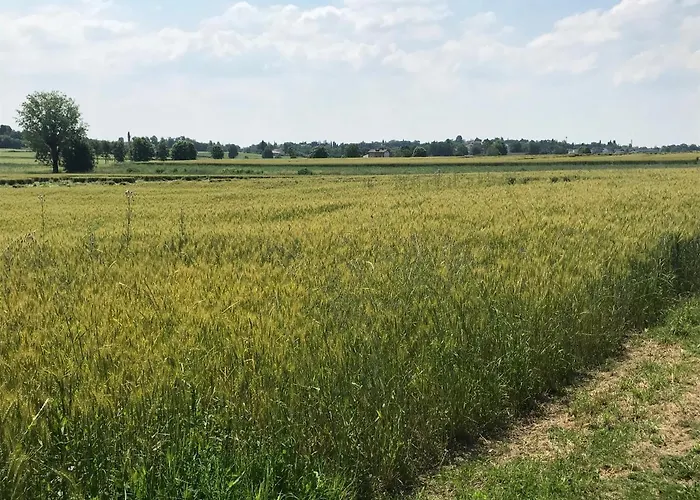 Lägenhet Corte Colombaron *