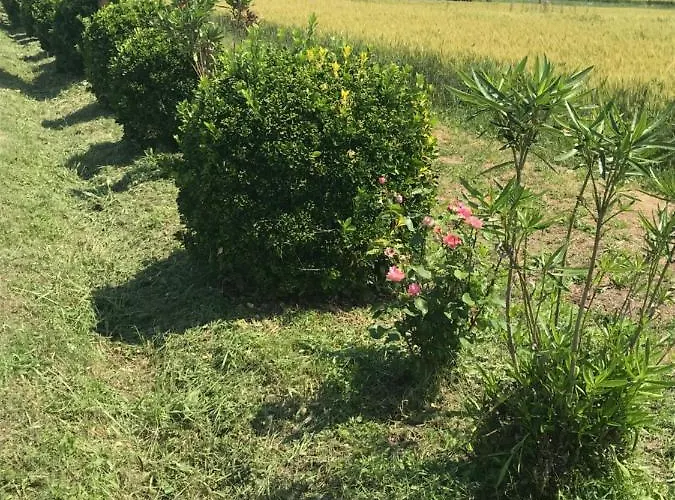 Lägenhet Corte Colombaron Ronchi (Veneto)